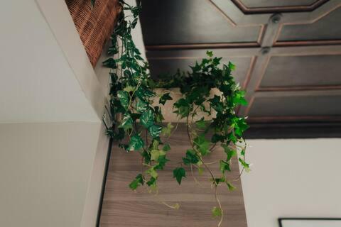 Opera.House Apartment Рим Екстериор снимка